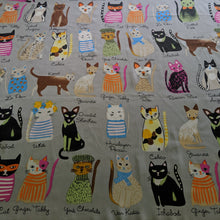 Load image into Gallery viewer, Cat Scarf Grey
